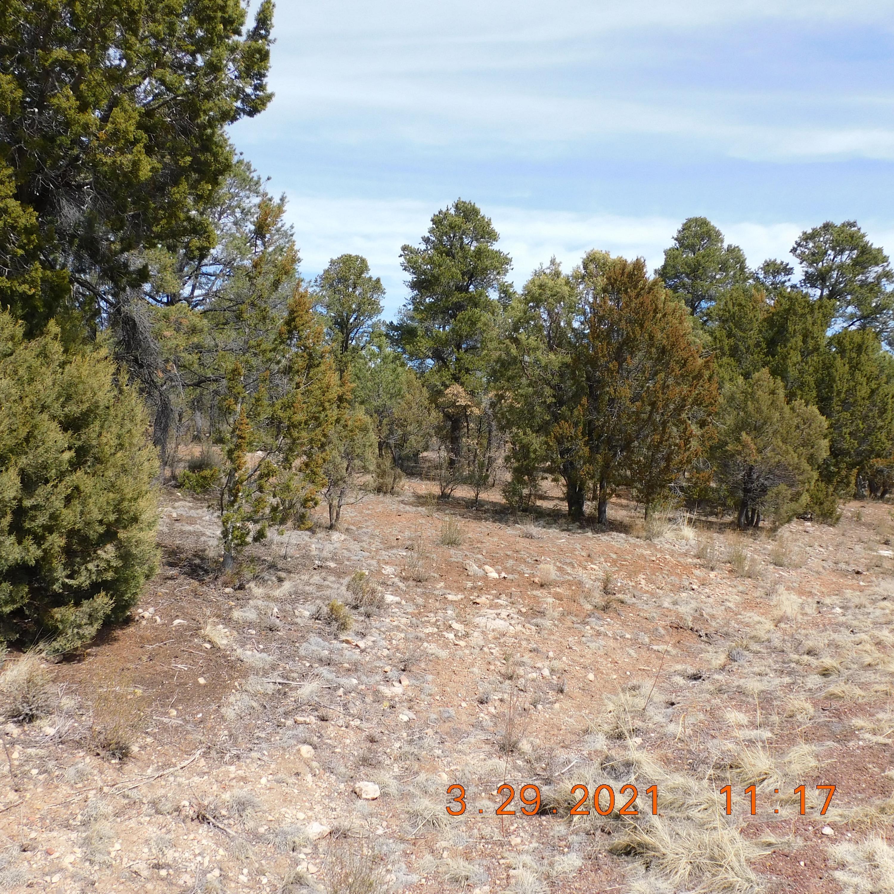 2862 Lodgepole Road Overgaard, AZ 85933 - Photo 1 of 5 Gallery Image 1