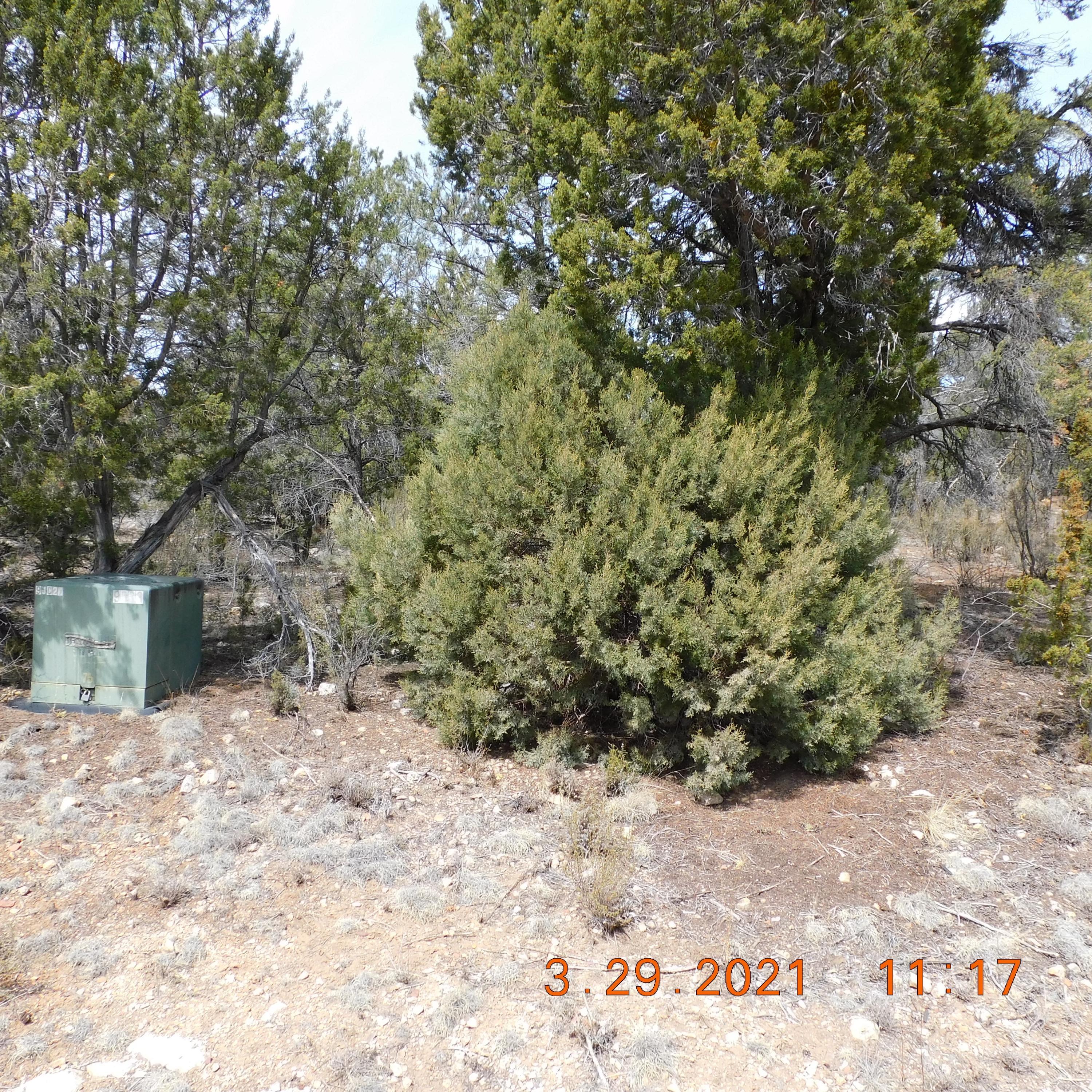 2862 Lodgepole Road Overgaard, AZ 85933 - Photo 2 of 5 Gallery Image 2