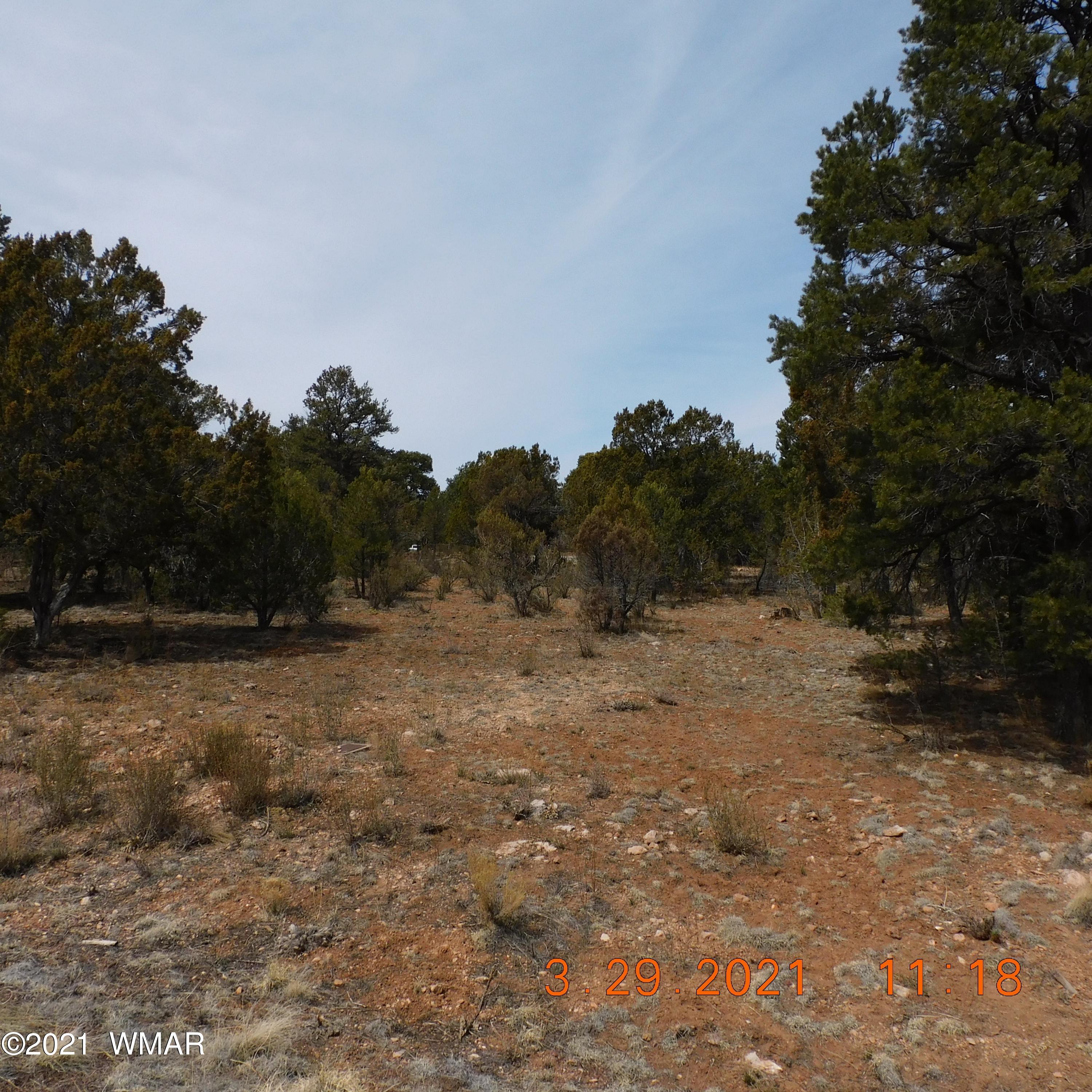 2862 Lodgepole Road Overgaard, AZ 85933 - Photo 4 of 5 Gallery Image 4