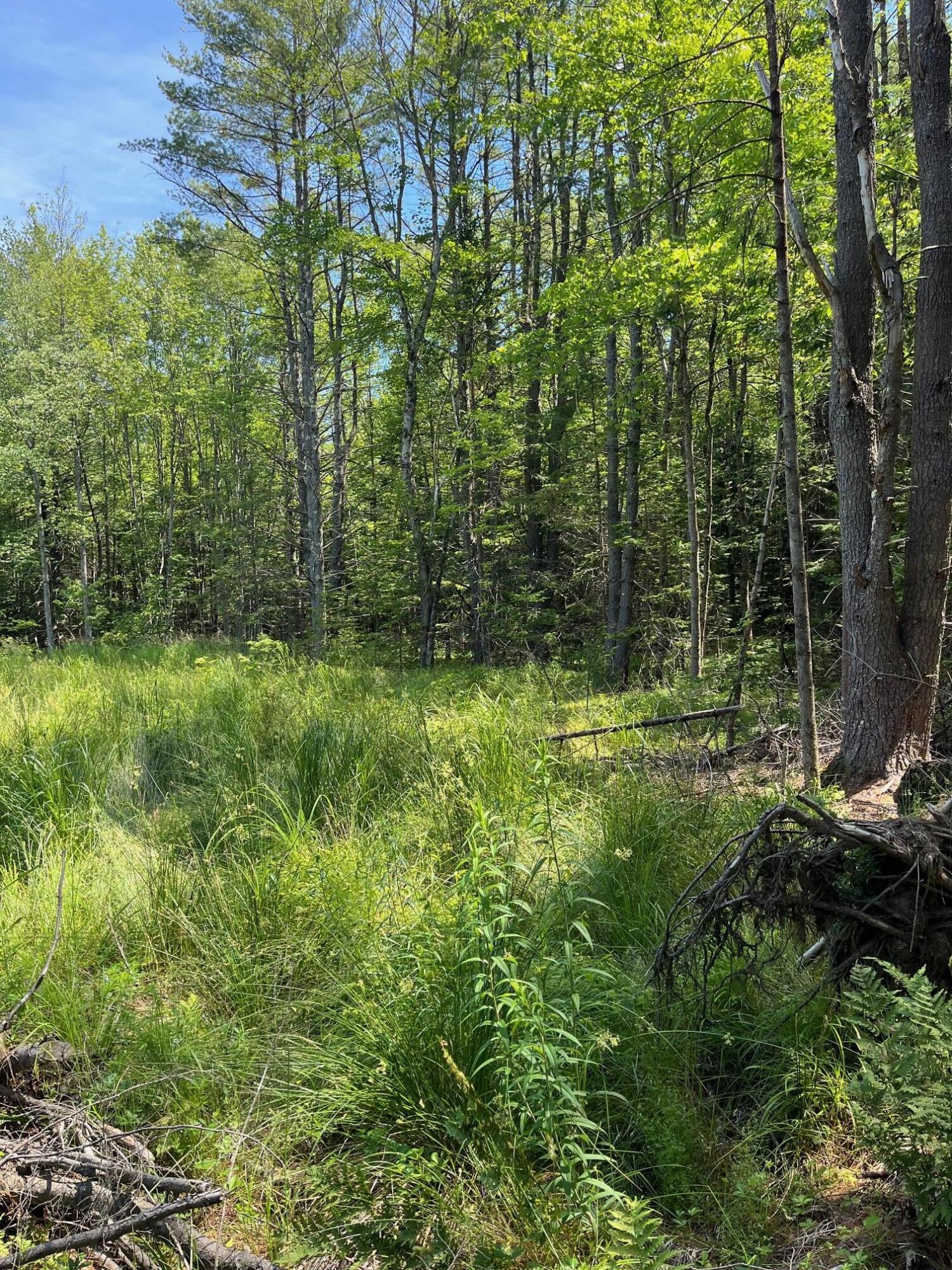 0 Granite Ridge Road New Gloucester, ME 04260 - Photo 9 of 11 IMG_7586
