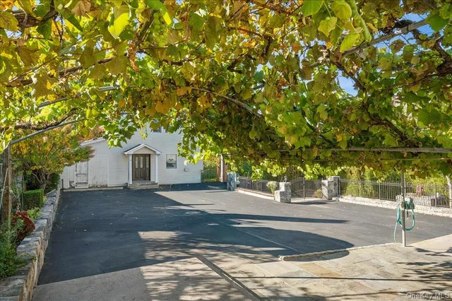 a view of a yard with plants and trees