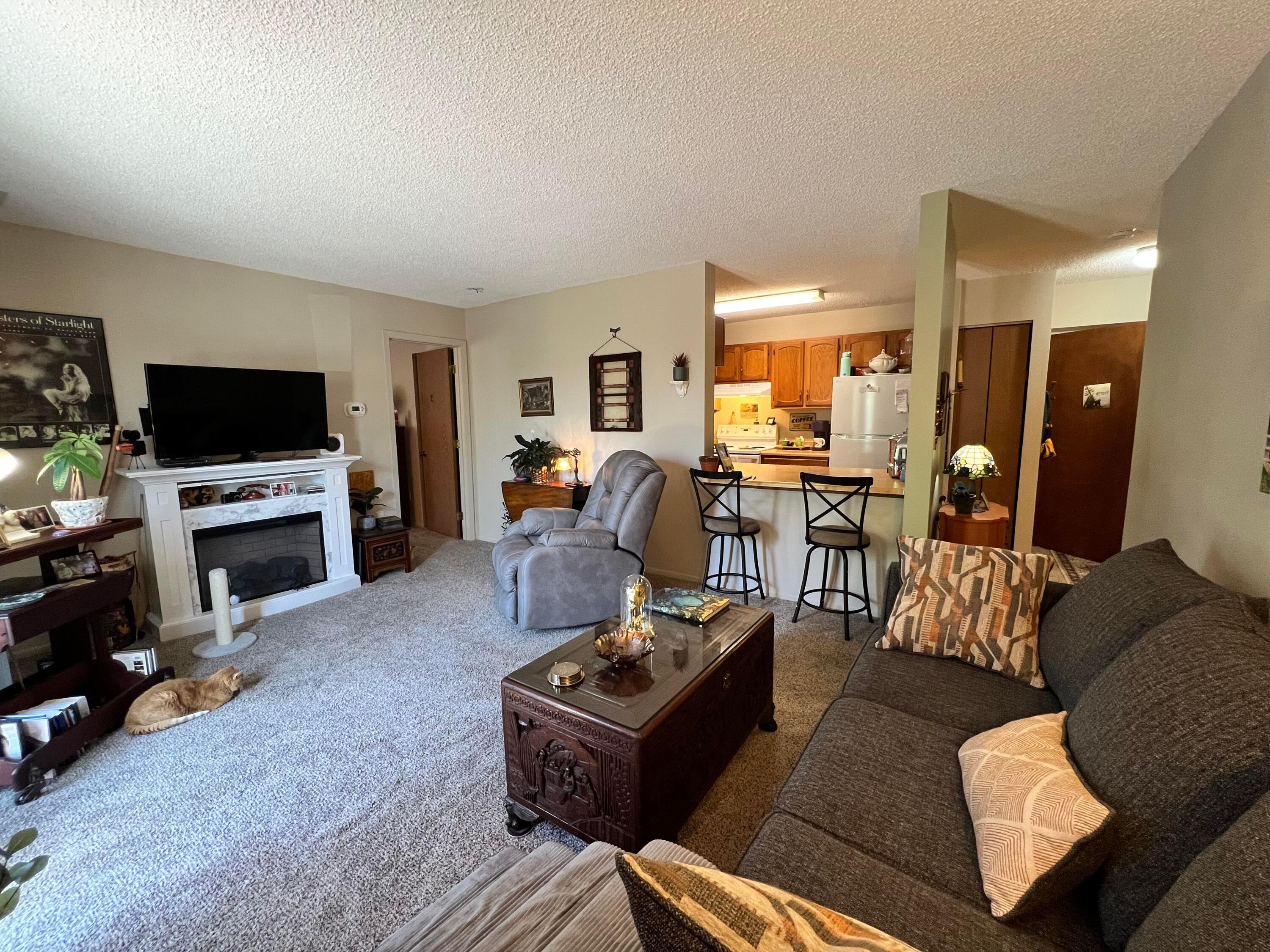 4141 Karl Road, Unit 309 Columbus, OH 43224 - Photo 10 of 27 Kitchen open to Living Room