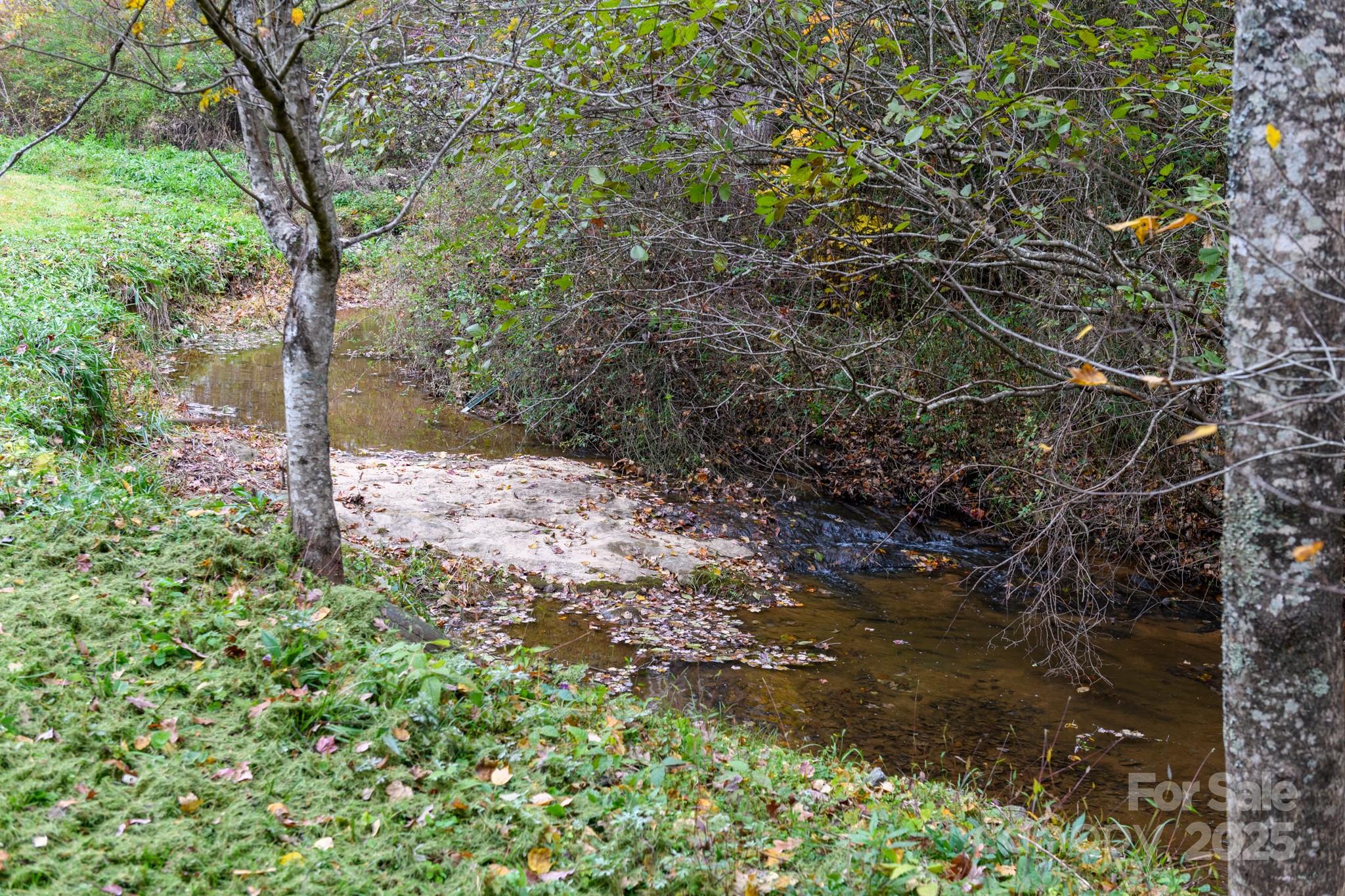 2830 Ellerwood Road Hudson, NC 28638 - Photo 20 of 46 a view of a tree in a yard