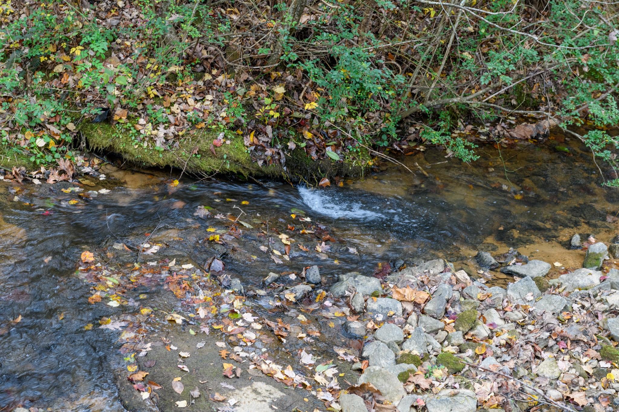 2830 Ellerwood Road Hudson, NC 28638 - Photo 21 of 46