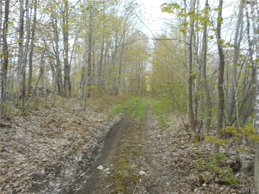 0 Kerber Road Ava, NY 13303 - Photo 14 of 24 Gallery Image 14
