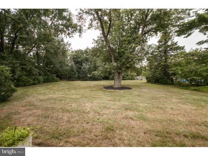 1250 Durham Road Langhorne, PA 19047 - Photo 24 of 25 Back Yard