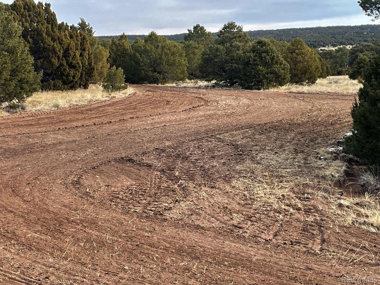 64 Navajo Ranch Walsenburg, CO 81089 - Photo 5 of 19