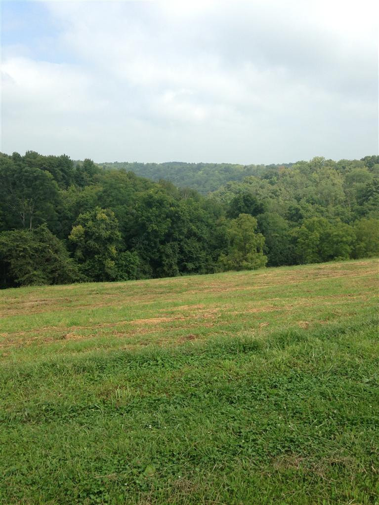 1 Taylor Ridge Road Nicholasville, KY 40356 - Photo 4 of 17 Photo 4