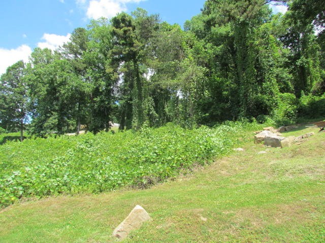 0 Hales Bar Road Guild, TN 37340 - Photo 6 of 14 Gallery Image 6