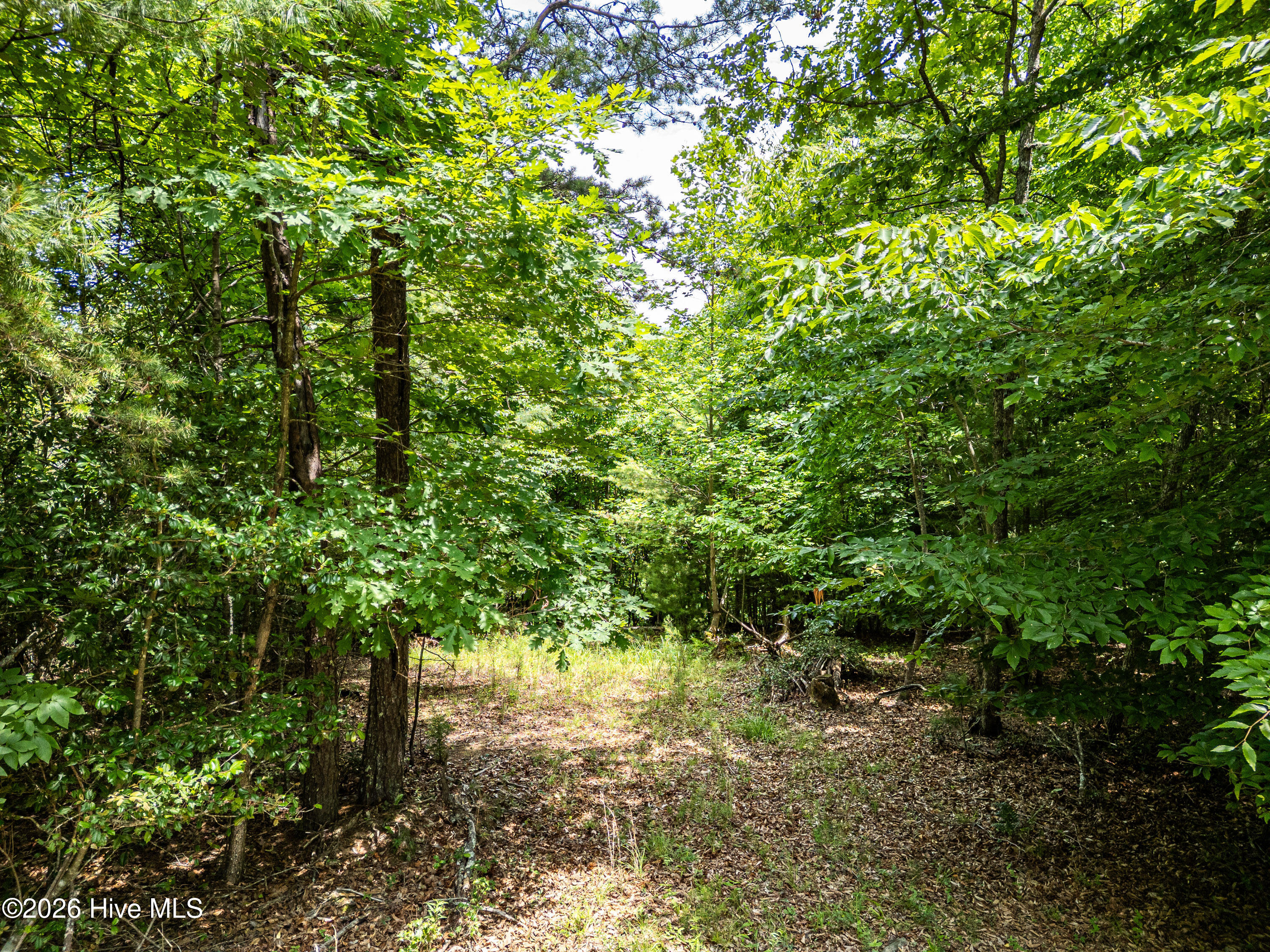 2 Stormy Ridge Brasstown, NC 28902 - Photo 8 of 17 Gallery Image 8