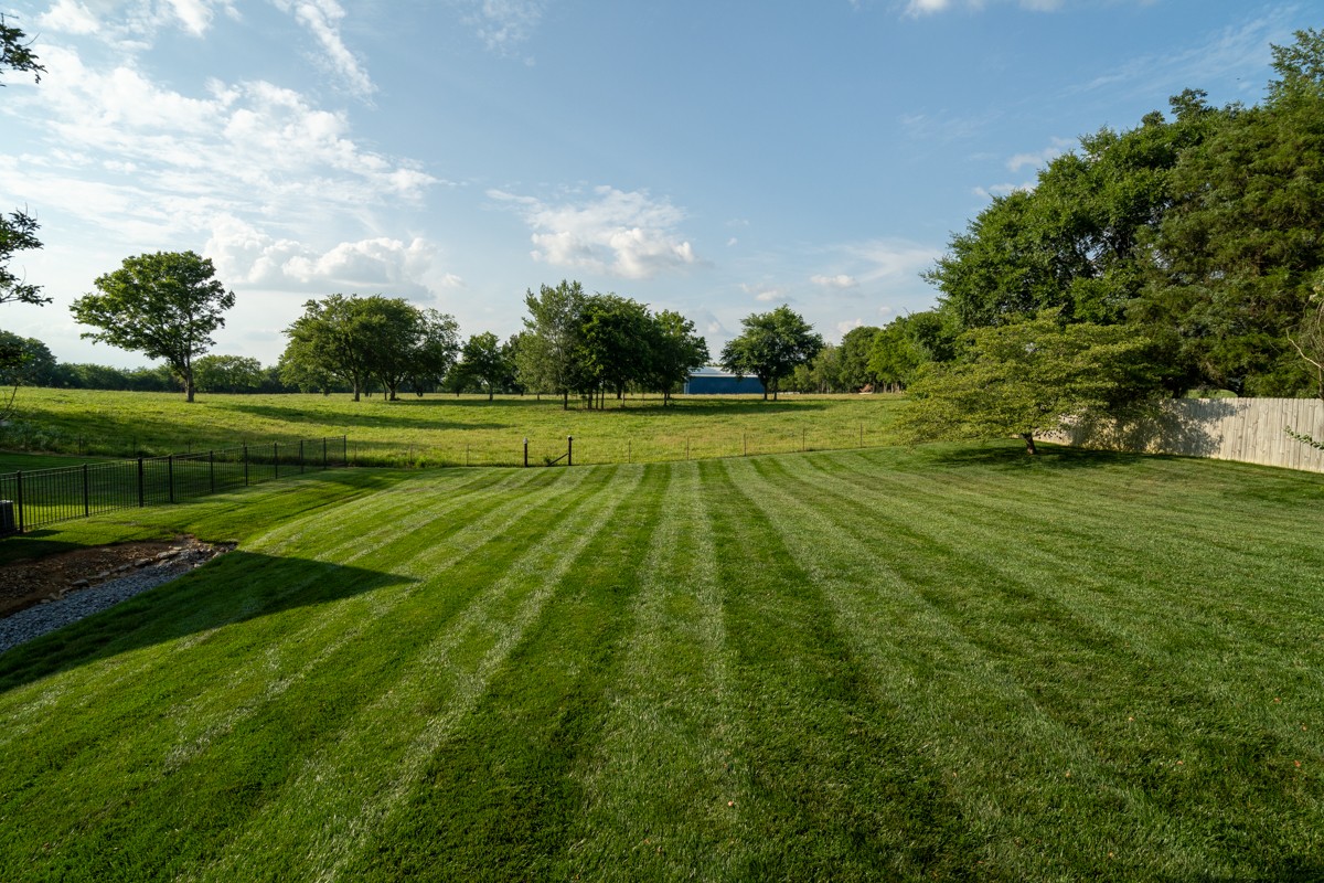 883 South Ridge Trail Clarksville, TN 37043 - Photo 36 of 42 Look at that lawn!