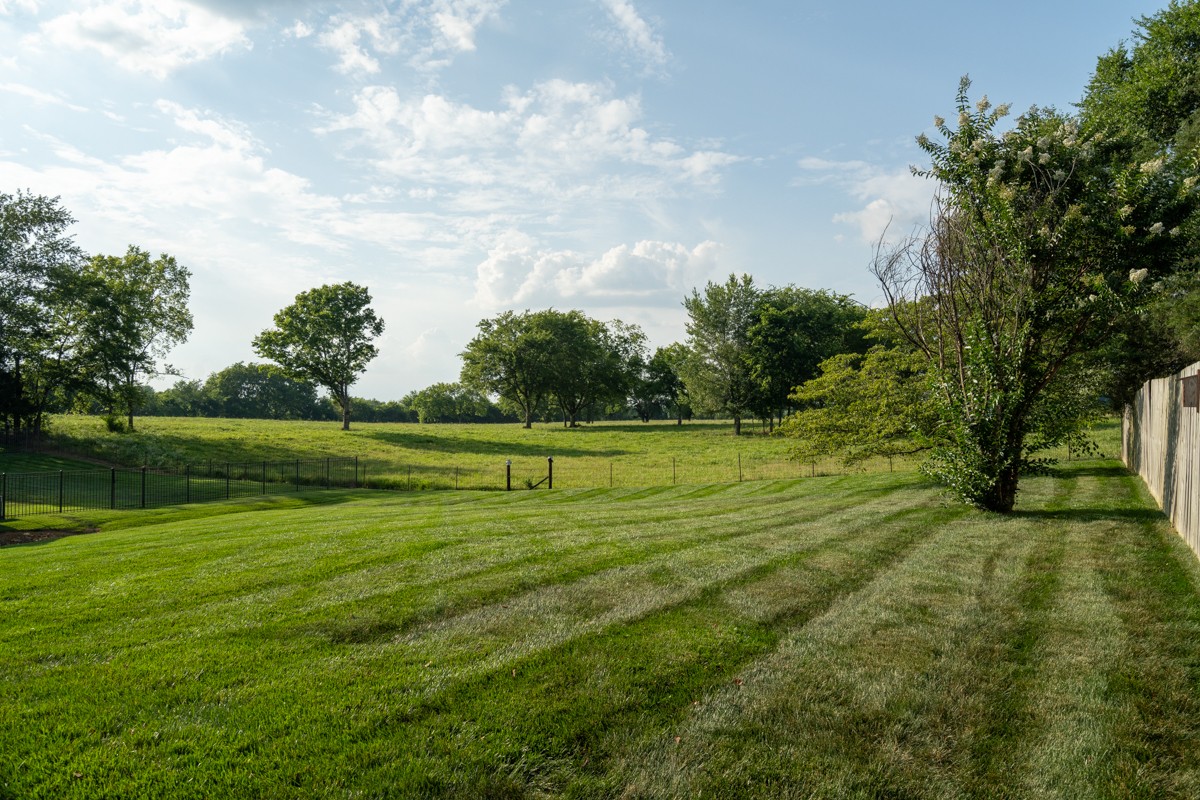 883 South Ridge Trail Clarksville, TN 37043 - Photo 37 of 42 Gallery Image 37