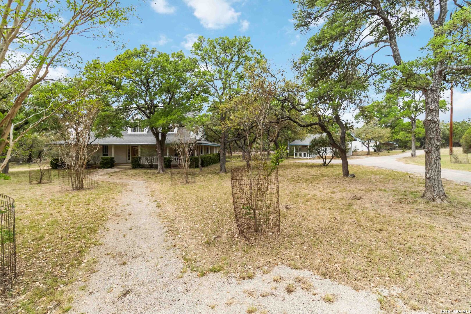 31949 Oak Ridge Parkway Bulverde, TX 78163 - Photo 48 of 50 a view of a yard with a tree
