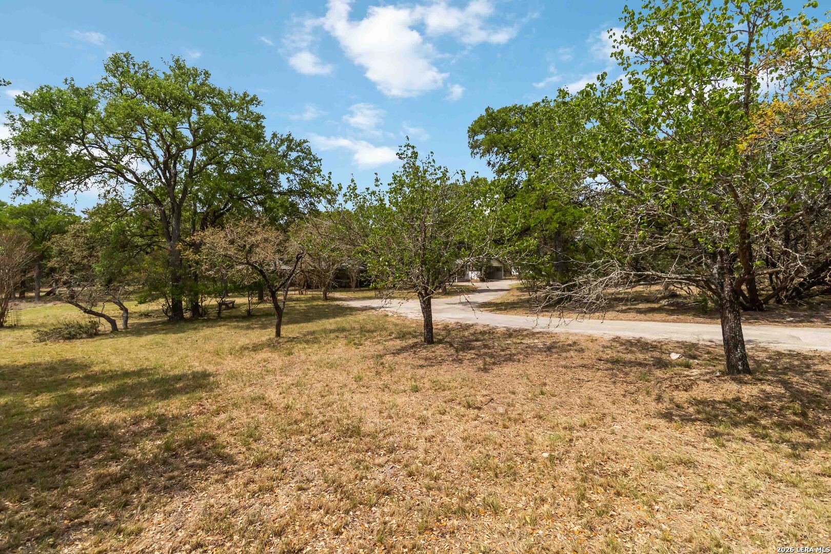 31949 Oak Ridge Parkway Bulverde, TX 78163 - Photo 49 of 50 a view of a yard with trees