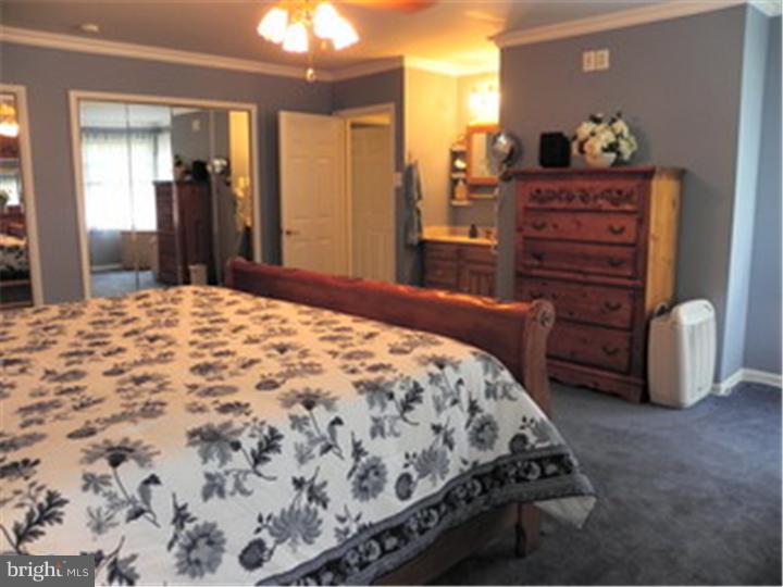 679 Locust Road Warminster, PA 18974 - Photo 15 of 25 Master Bedroom