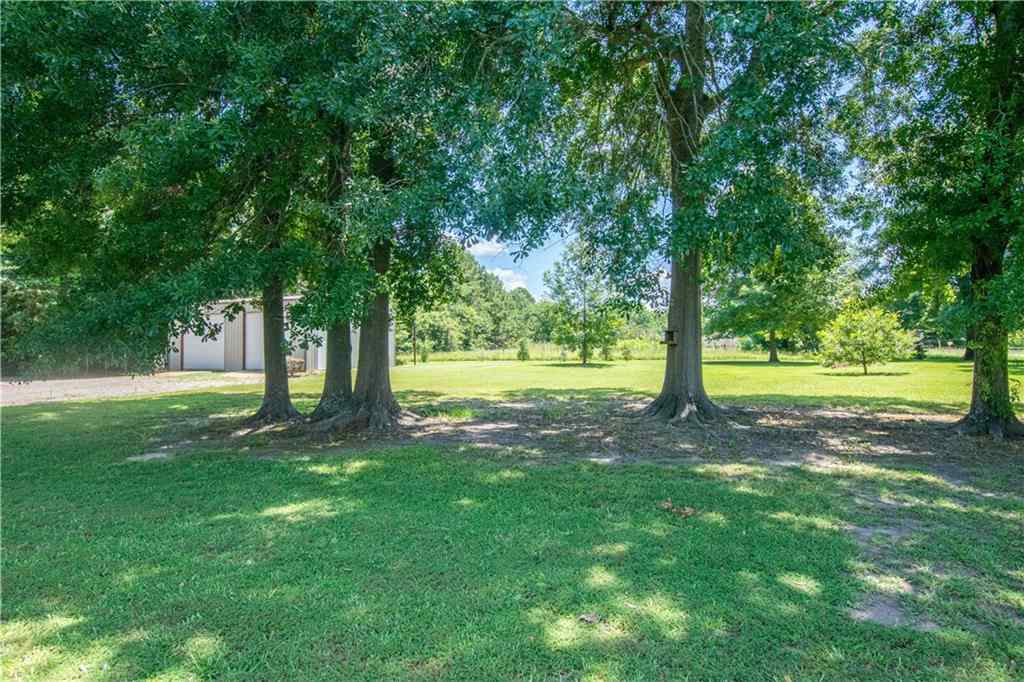 162 Casey Lane Pollock, LA 71467 - Photo 4 of 25 Gallery Image 4