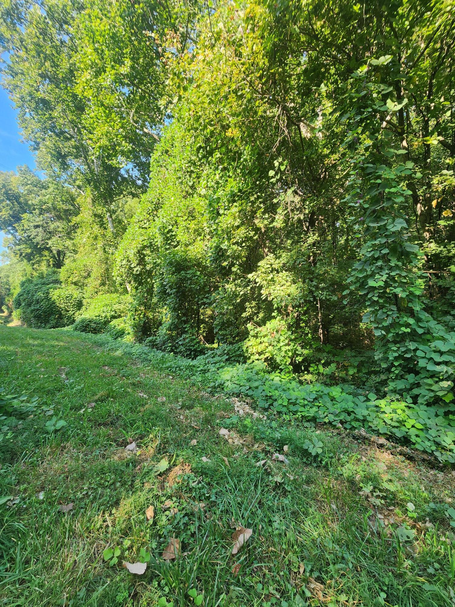 8817 Gann Road, Unit 3 Soddy Daisy, TN 37379 - Photo 3 of 5 20240829_100001
