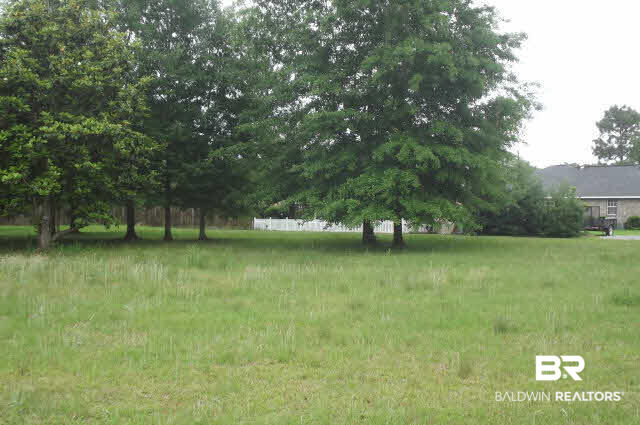 10 Starling Court Lillian, AL 36549 - Photo 1 of 6