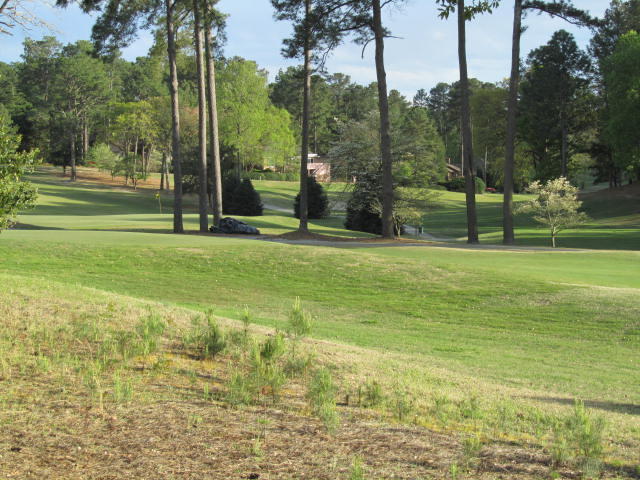 50 Hillcrest Road Pinehurst, NC 28374 - Photo 5 of 28 Course View