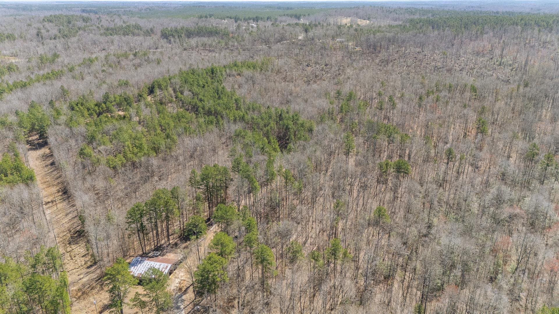 1670 Rose Creek Road Selmer, TN 38375 - Photo 21 of 40