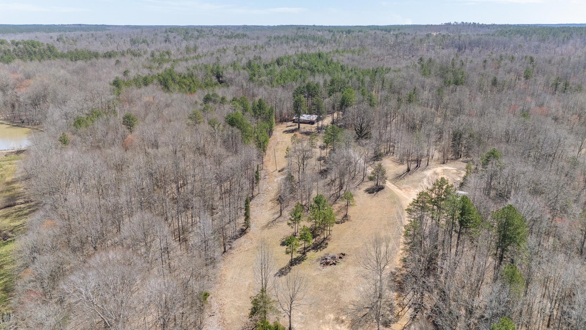 1670 Rose Creek Road Selmer, TN 38375 - Photo 33 of 40 a view of a forest with a forest