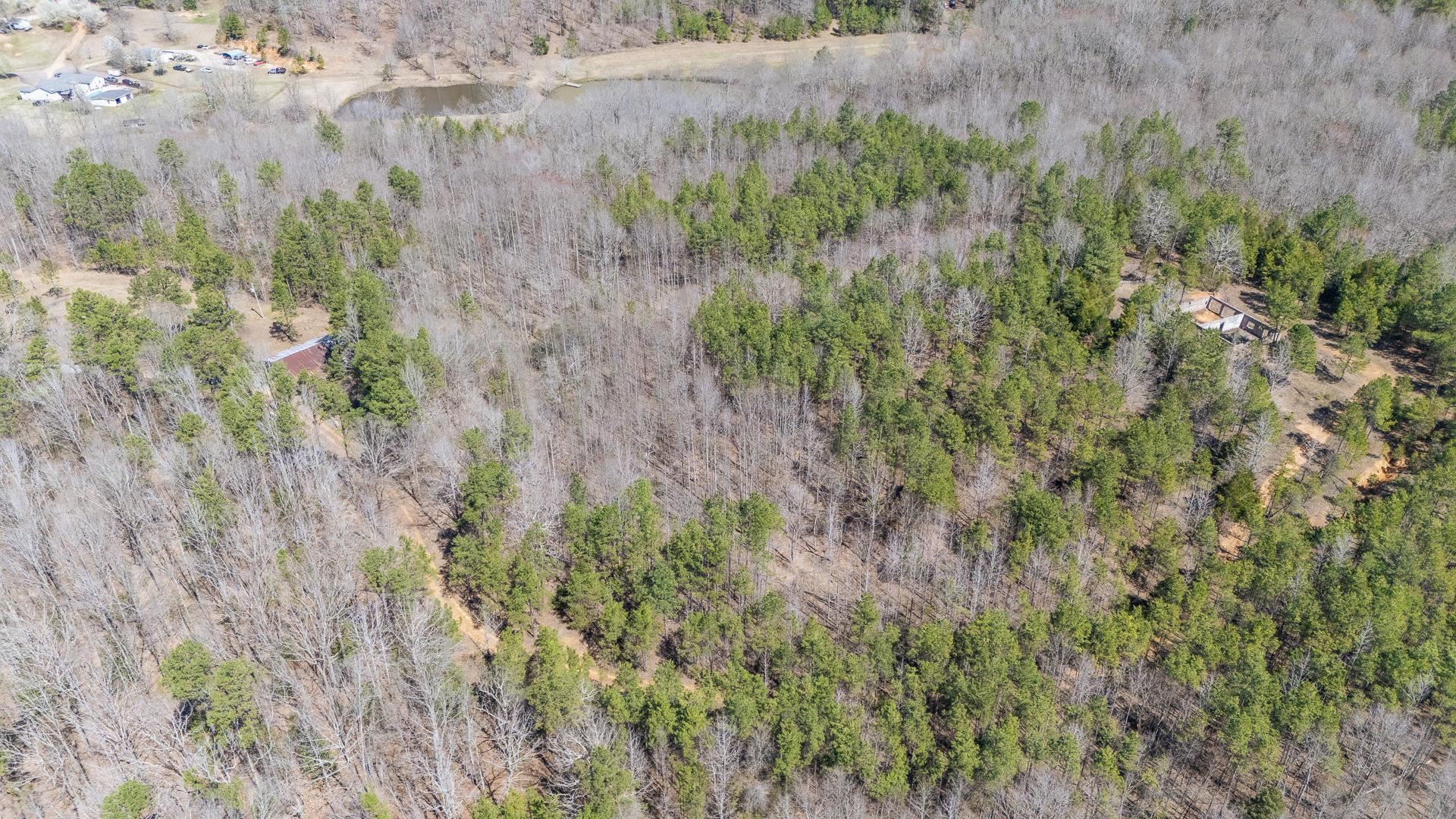 1670 Rose Creek Road Selmer, TN 38375 - Photo 35 of 40 a view of a lush green field