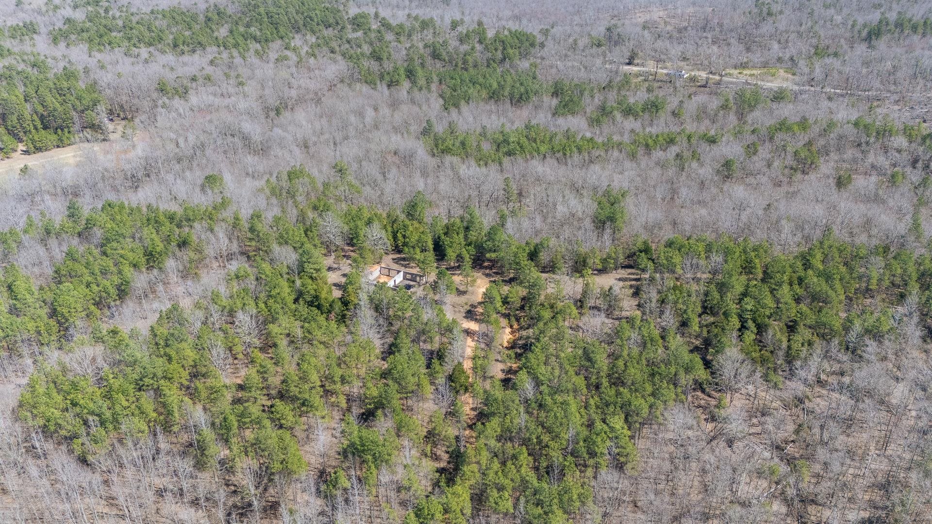 1670 Rose Creek Road Selmer, TN 38375 - Photo 40 of 40 a view of a forest with a tree