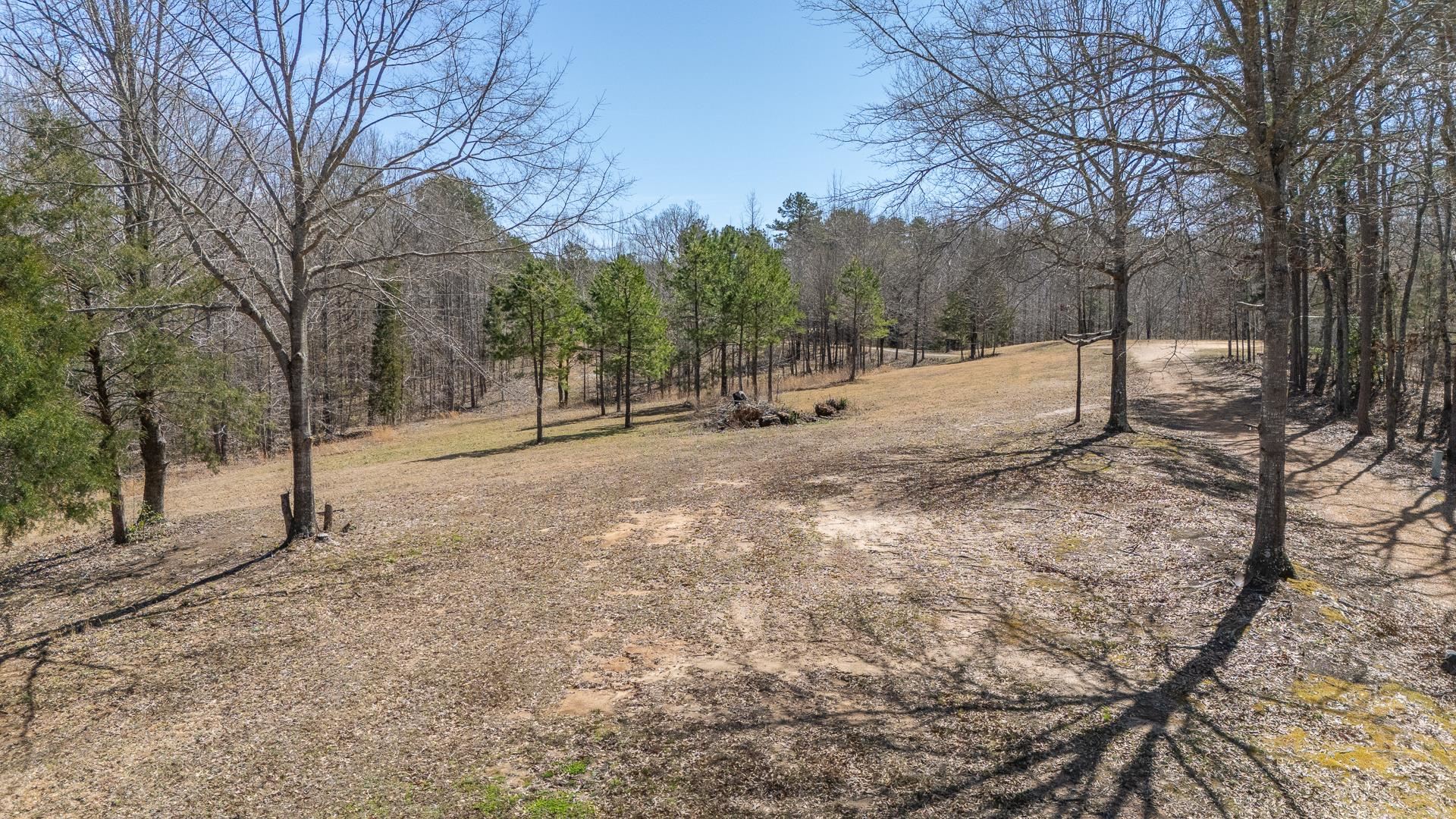 1670 Rose Creek Road Selmer, TN 38375 - Photo 7 of 40 a view of dirt yard with trees