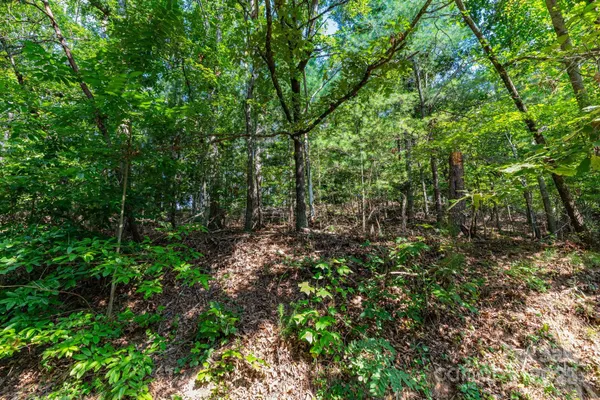 $125,000 | 99999 Flynn Branch Road, Unit 1, Asheville, NC 28804