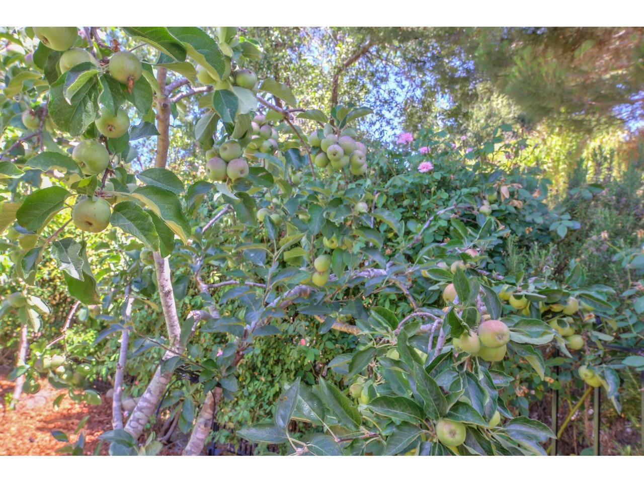 14320 Mountain Quail Road Salinas, CA 93908 - Photo 52 of 52 Gallery Image 52