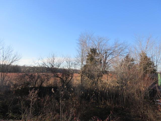 975 12th Street Hammonton, NJ 08037 - Photo 31 of 31 a view of a yard