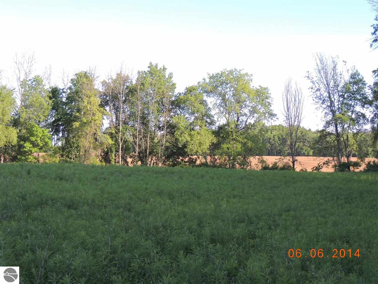3070 South Warner Road Middleton, MI 48856 - Photo 21 of 36 1785781-20.JPG