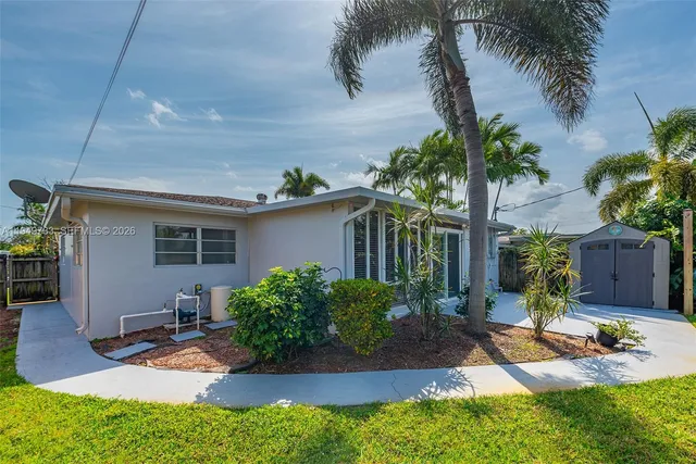 a view of a backyard with plants and palm tree