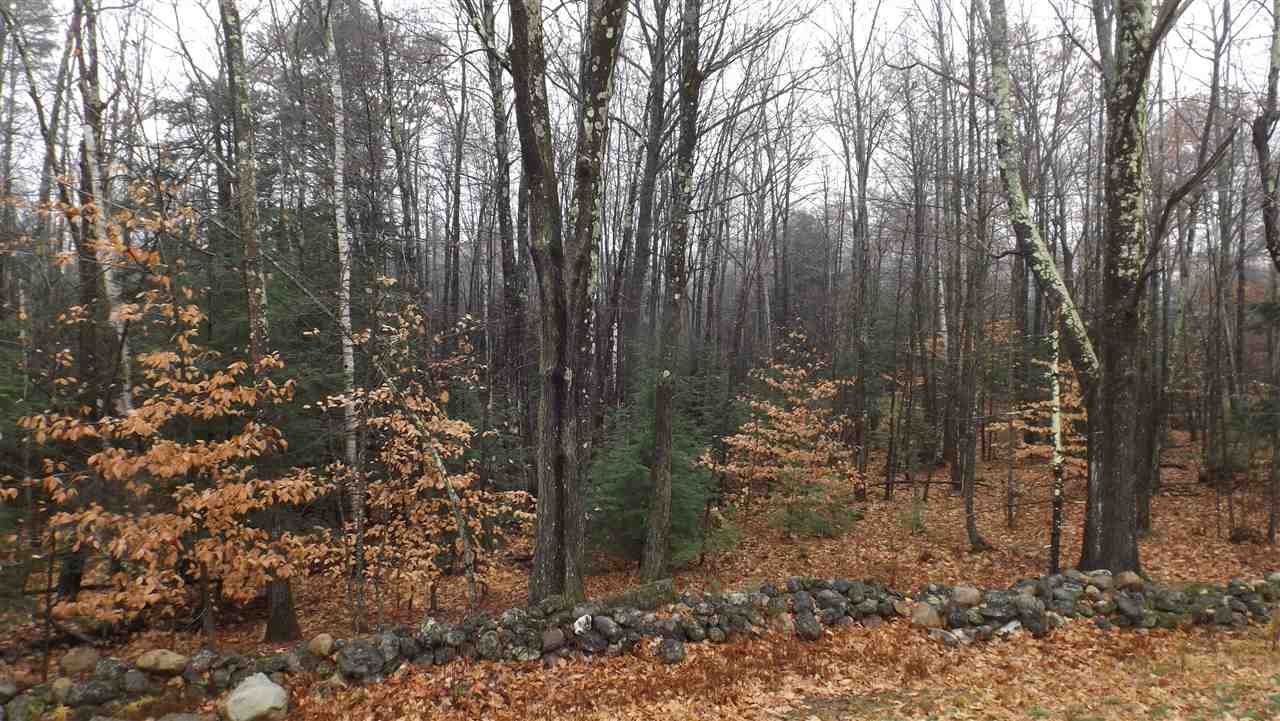 0 Hutchinson Road Chichester, NH 03258 - Photo 1 of 7 Gallery Image 1