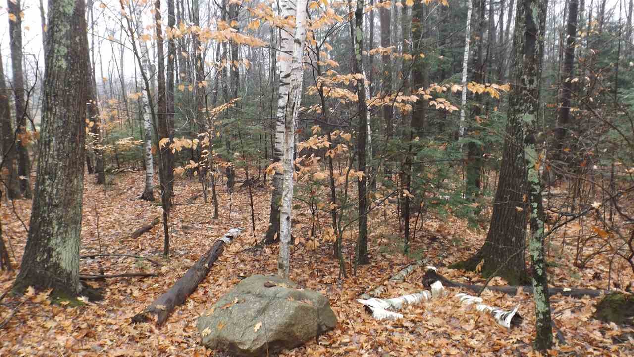 0 Hutchinson Road Chichester, NH 03258 - Photo 2 of 7 Gallery Image 2