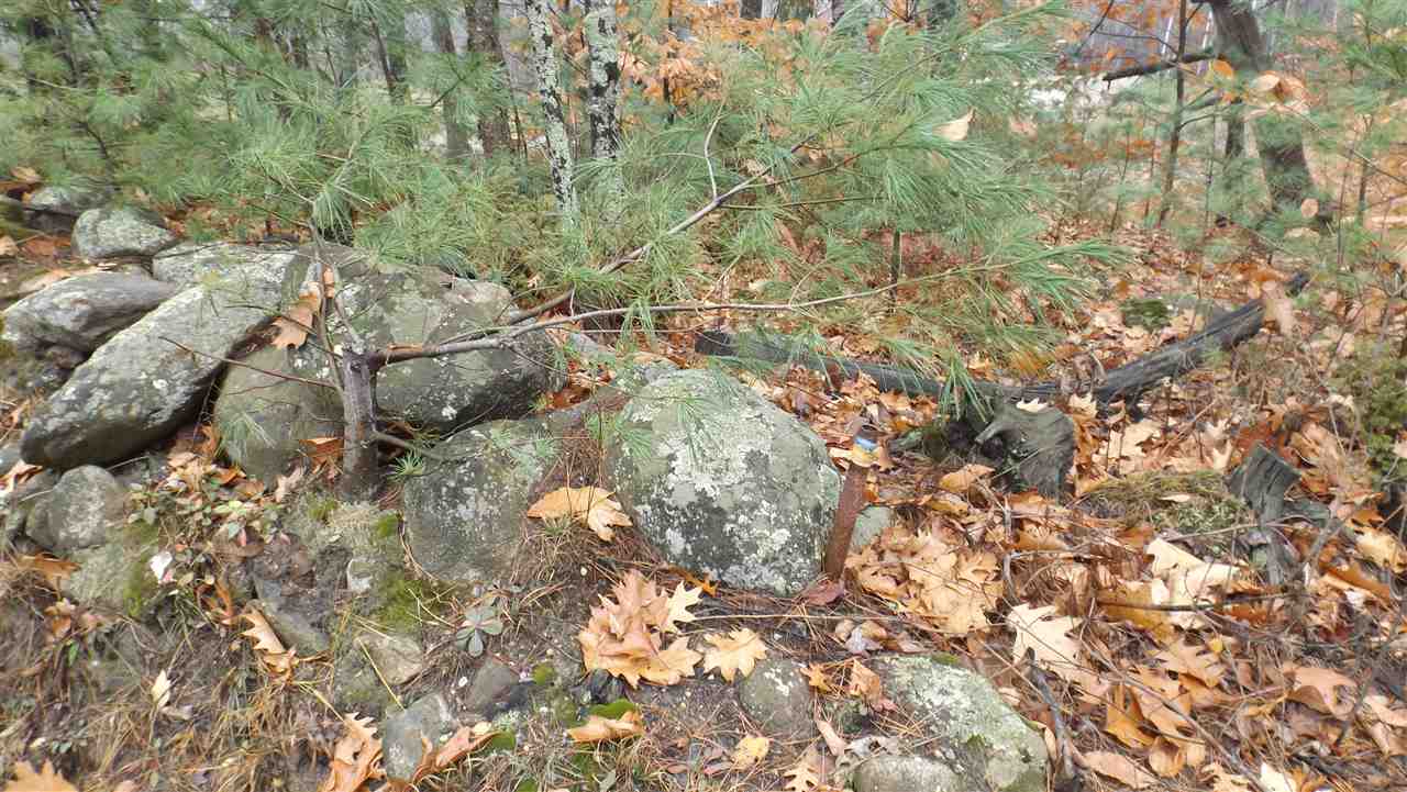 0 Hutchinson Road Chichester, NH 03258 - Photo 6 of 7 Gallery Image 6