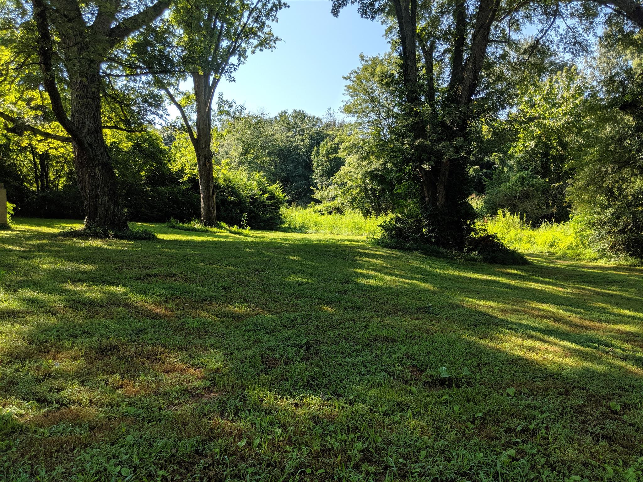 136 River Road Morrison, TN 37357 - Photo 9 of 24 Another view of the back yard.