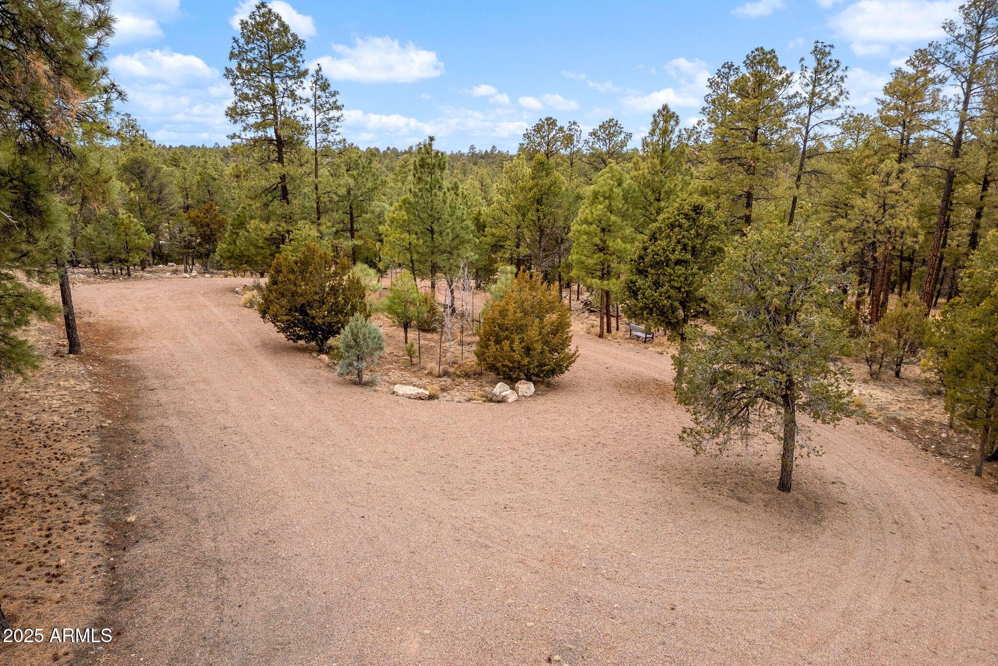 2854 Thunderbird Way Overgaard, AZ 85933 - Photo 7 of 17 2854 Thunderbird Way