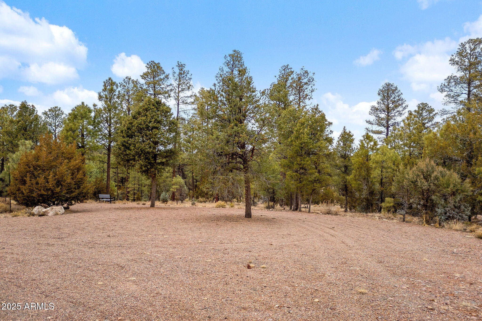 2854 Thunderbird Way Overgaard, AZ 85933 - Photo 8 of 17 2854 Thunderbird Way