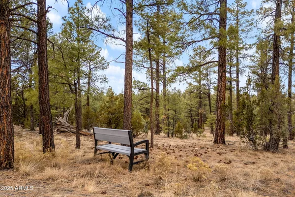 $439,000 | 2854 Thunderbird Way, Overgaard, AZ 85933