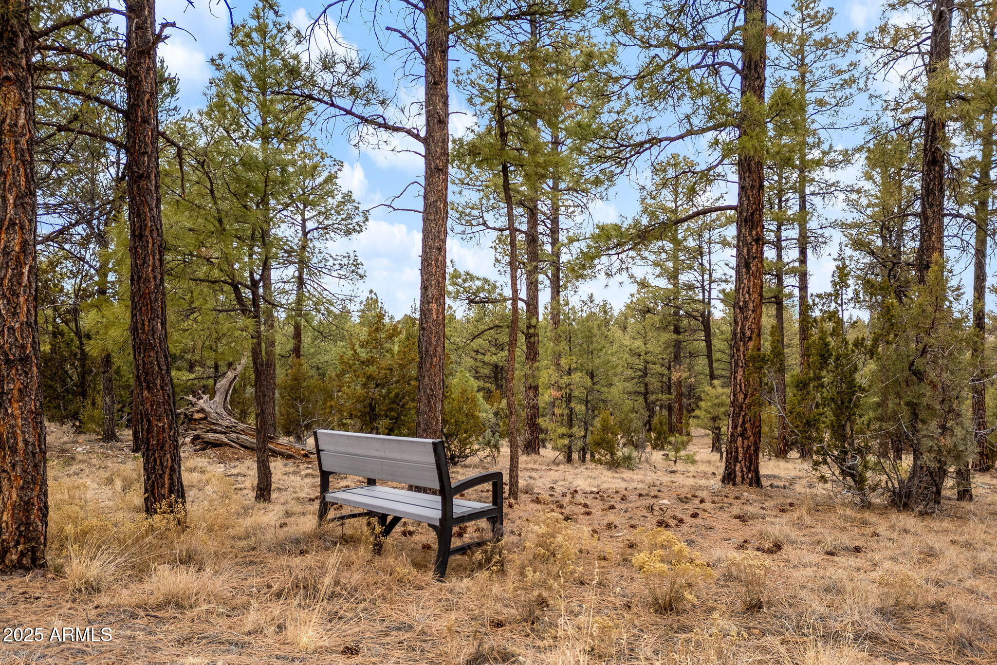 2854 Thunderbird Way Overgaard, AZ 85933 - Photo 10 of 17 2854 Thunderbird Way