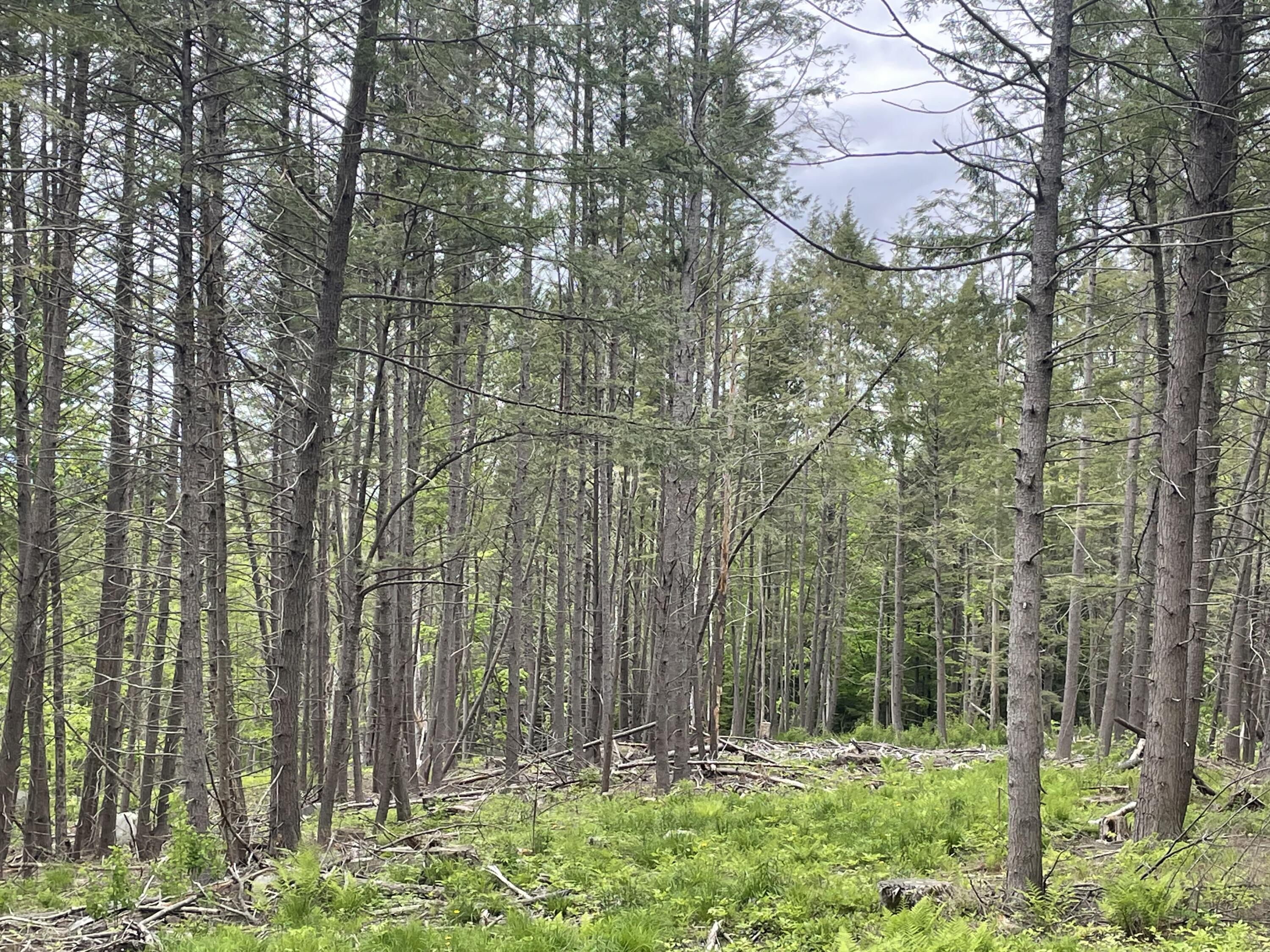 13a Zions Hill Road Chesterville, ME 04938 - Photo 7 of 14