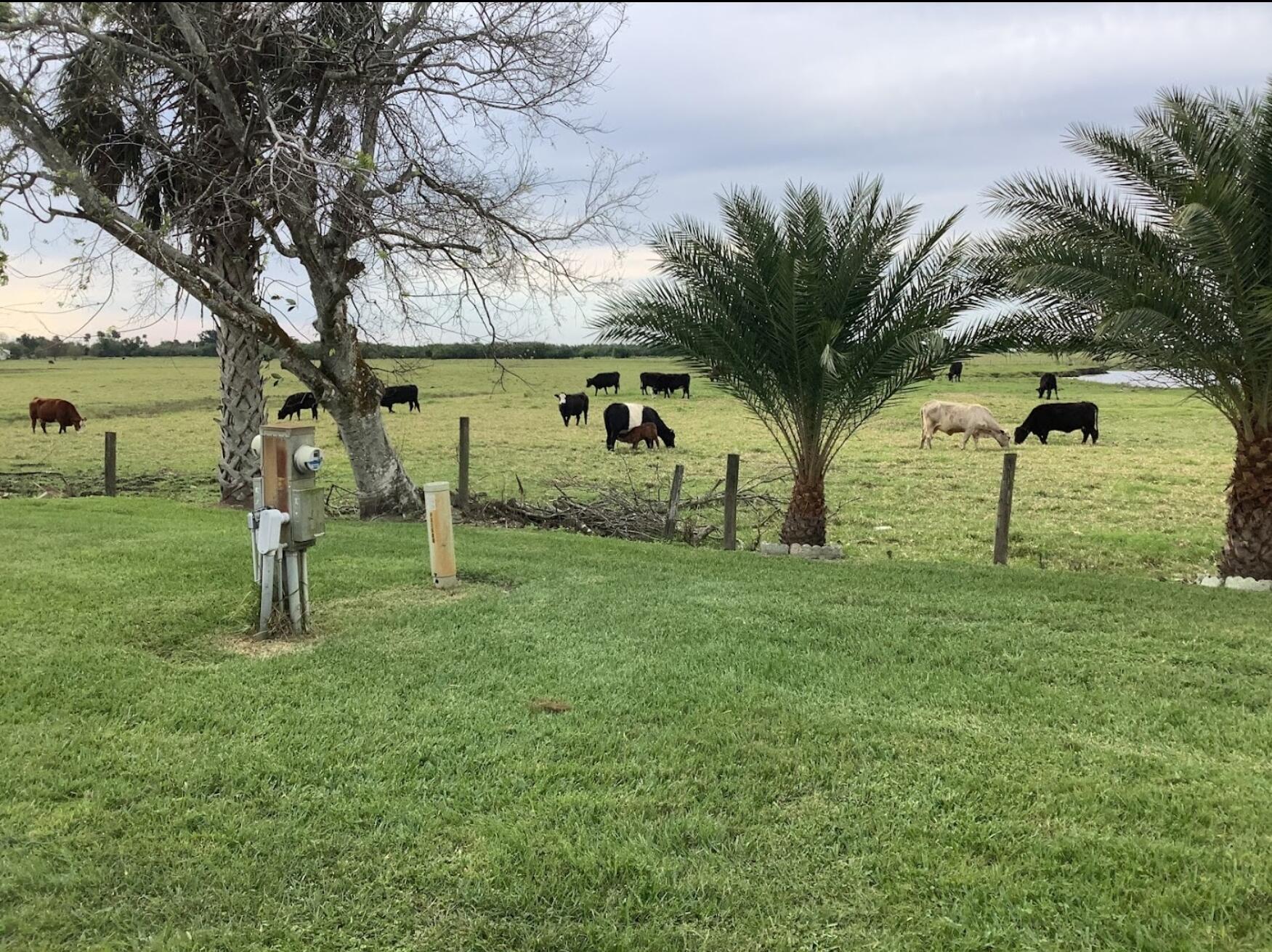 1601 Highway 441, Unit 28 Okeechobee, FL 34974 - Photo 34 of 35 a view of backyard with a garden and palm trees