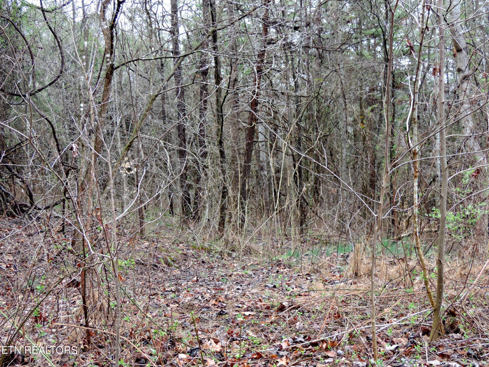 10 Hickory Spgs Road Washburn, TN 37888 - Photo 9 of 21 Gallery Image 9