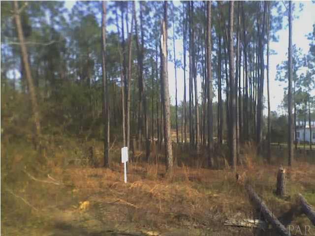 7953 Malone Road Milton, FL 32570 - Photo 1 of 2 Gallery Image 1