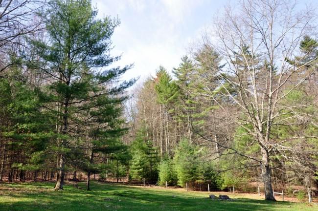 16155 Frost Road Dunmore, WV 24934 - Photo 22 of 35 Gallery Image 22