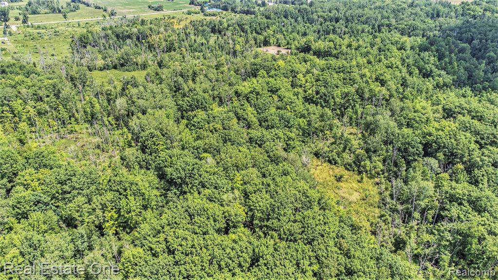0 Mills Road Prescott, MI 48756 - Photo 4 of 5