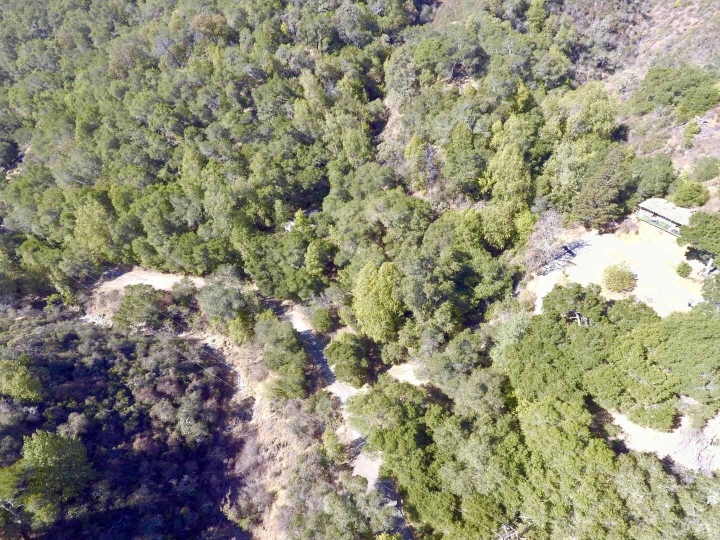6379 Little Uvas Road Morgan Hill, CA 95037 - Photo 2 of 6 a view of a forest with a tree