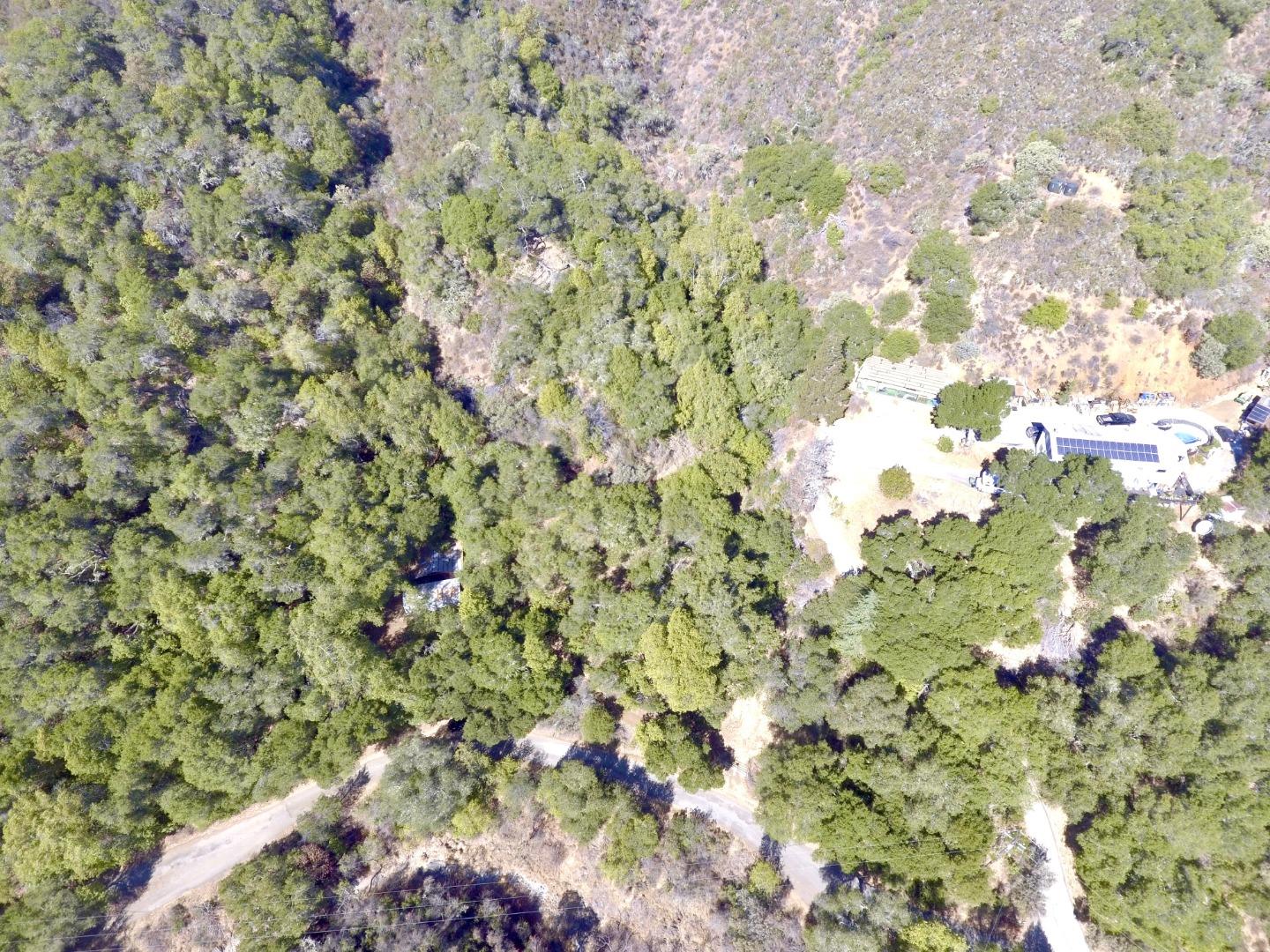6379 Little Uvas Road Morgan Hill, CA 95037 - Photo 3 of 6 a view of a tree