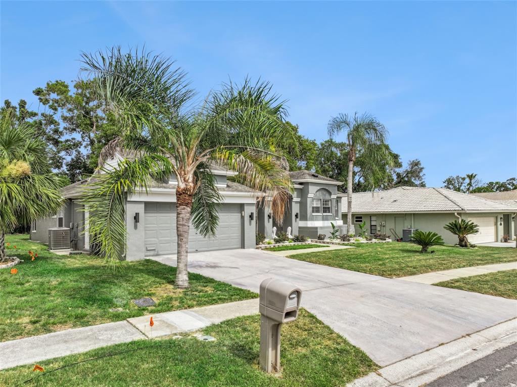 1236 Lansing Drive Spring Hill, FL 34608 - Photo 5 of 65